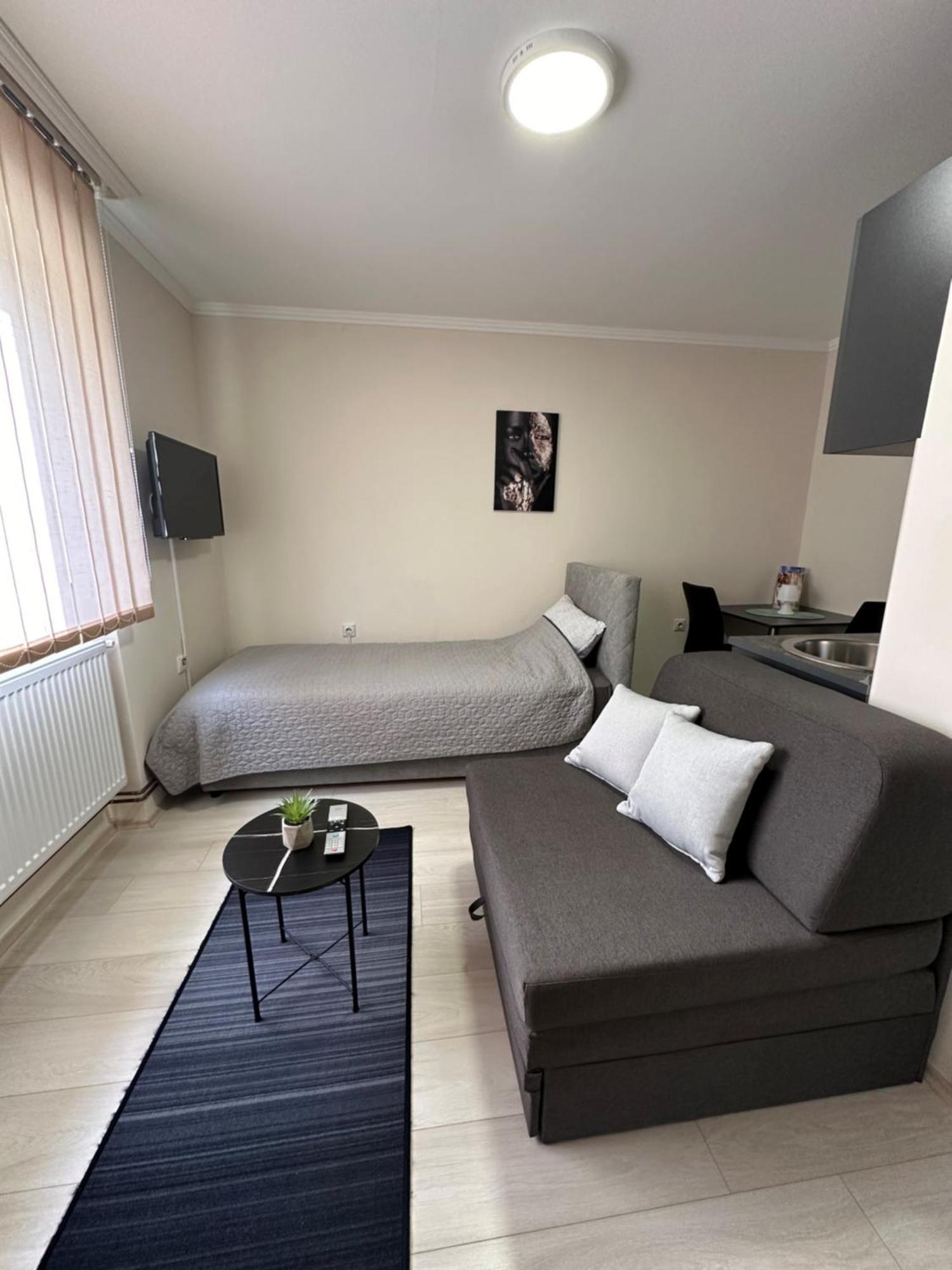 Sobe Tanja Apartment ซูโบติกา ภายนอก รูปภาพ